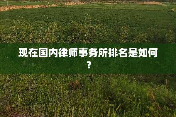 现在国内律师事务所排名是如何？