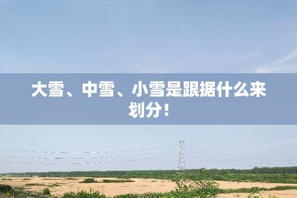 大雪、中雪、小雪是跟据什么来划分！
