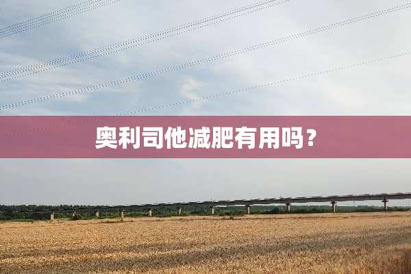 奥利司他减肥有用吗？