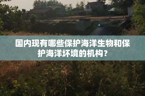 国内现有哪些保护海洋生物和保护海洋坏境的机构？