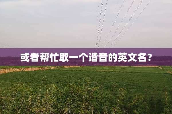 或者帮忙取一个谐音的英文名？
