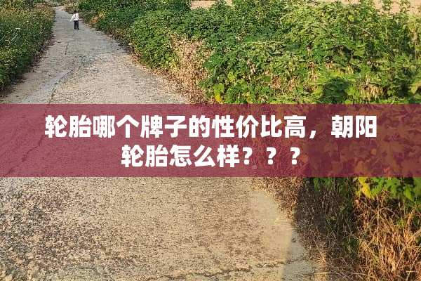 轮胎哪个牌子的性价比高，朝阳轮胎怎么样？？？