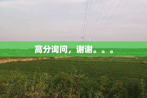 高分询问，谢谢。。。