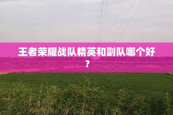 王者荣耀战队精英和副队哪个好？