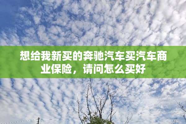 想给我新买的奔驰汽车买汽车商业保险，请问怎么买好