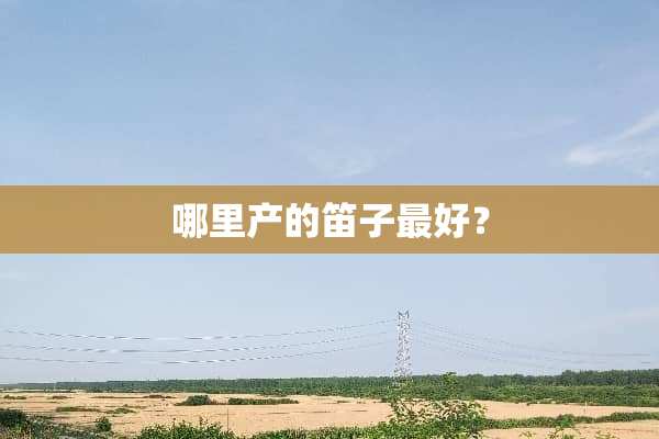 哪里产的笛子最好？