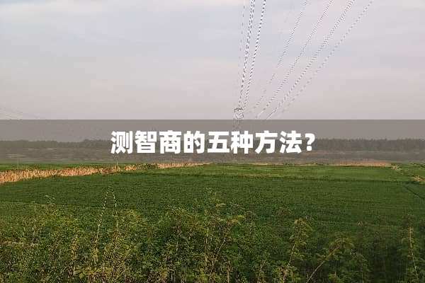 测智商的五种方法？