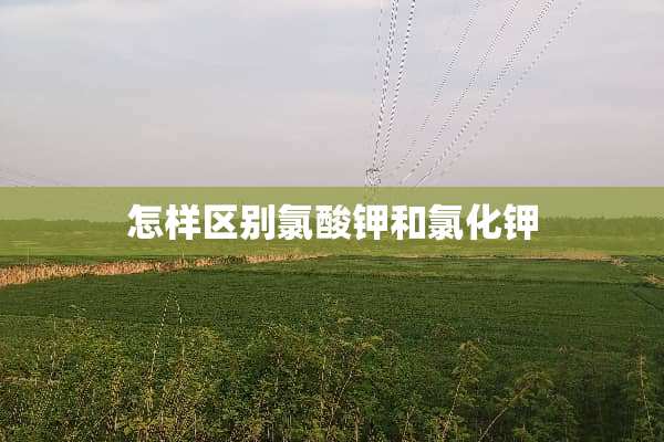 怎样区别氯酸钾和氯化钾