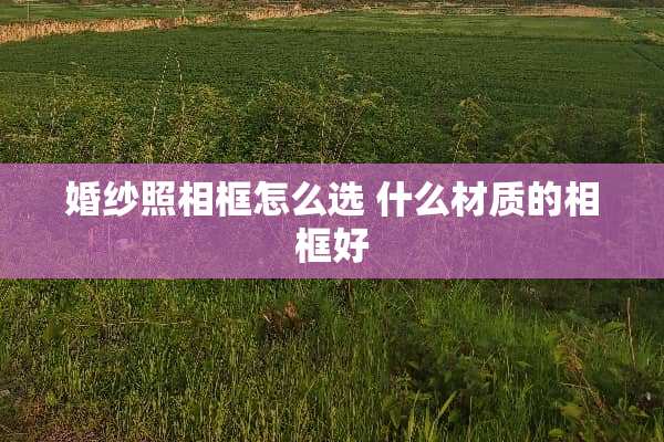 婚纱照相框怎么选 什么材质的相框好