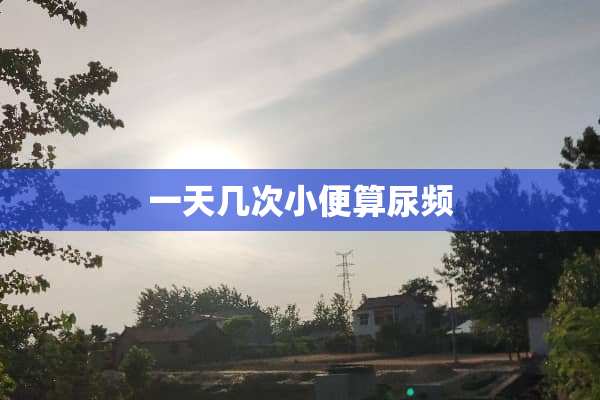 一天几次小便算尿频