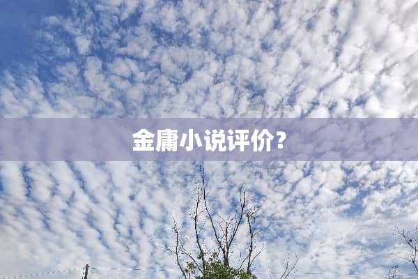 金庸小说评价？