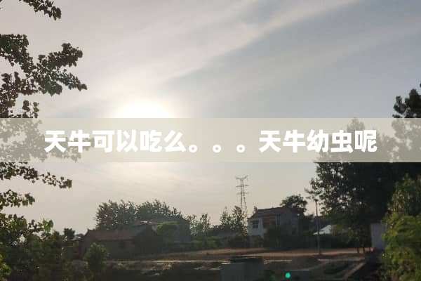 天牛可以吃么。。。天牛幼虫呢
