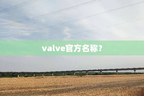 valve官方名称？