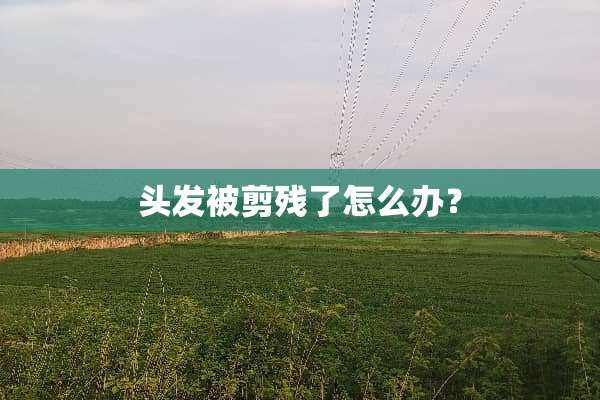 头发被剪残了怎么办？