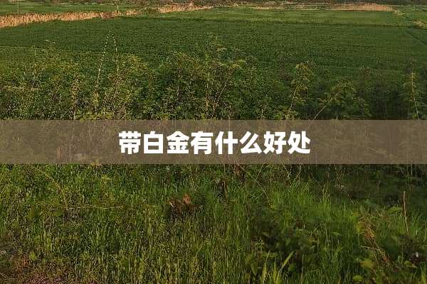 带白金有什么好处