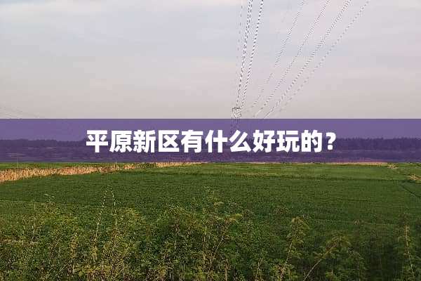 平原新区有什么好玩的？