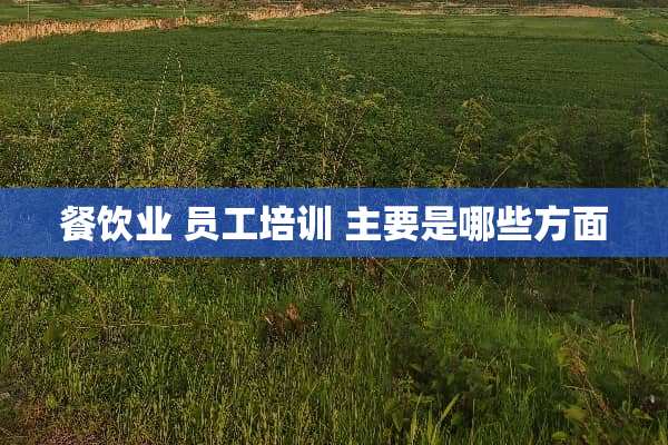餐饮业 员工培训 主要是哪些方面