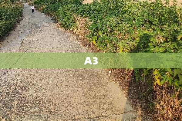A3