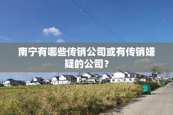 南宁有哪些**公司或有**嫌疑的公司？