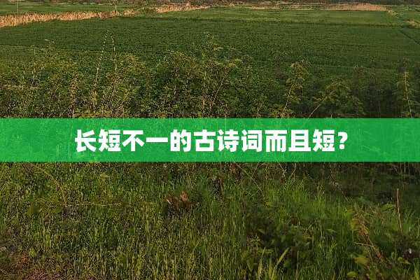长短不一的古诗词而且短？