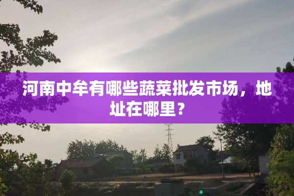河南中牟有哪些蔬菜批发市场，地址在哪里？
