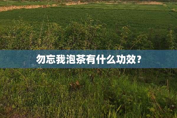 勿忘我泡茶有什么功效？