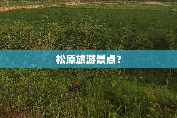 松原旅游景点？