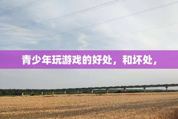 青少年玩游戏的好处，和坏处，