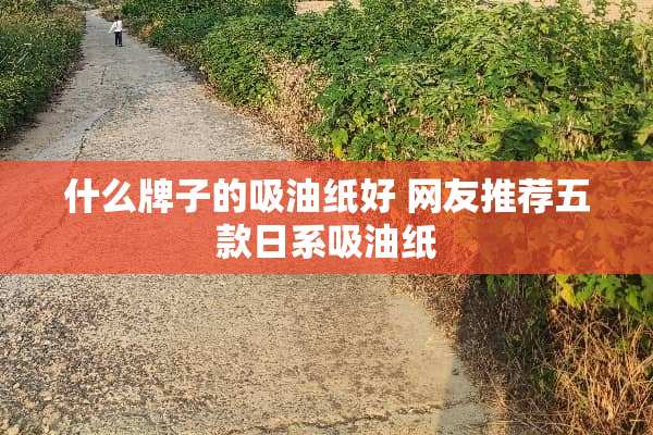 什么牌子的吸油纸好 网友推荐五款日系吸油纸