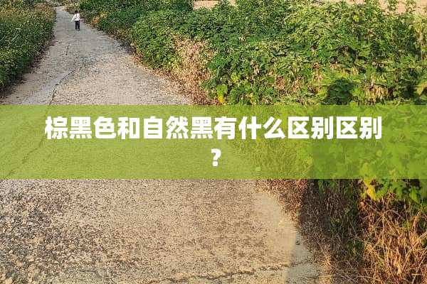 棕黑色和自然黑有什么区别区别？