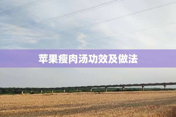 苹果瘦肉汤功效及做法