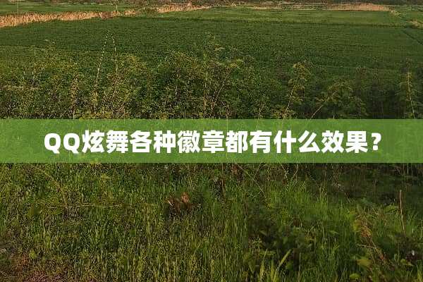 QQ炫舞各种徽章都有什么效果？