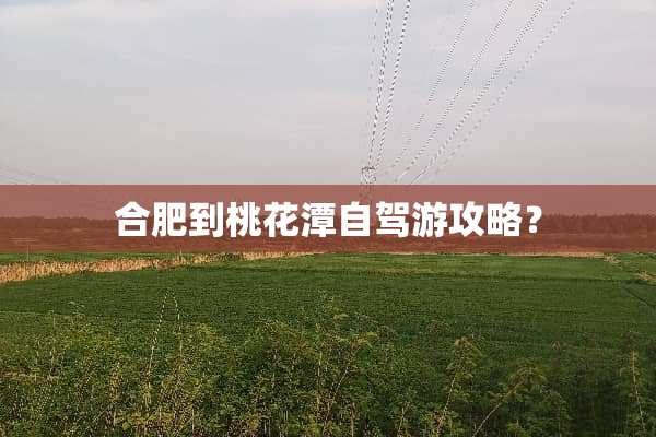 合肥到桃花潭自驾游攻略？