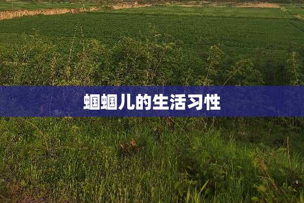 蝈蝈儿的生活习性