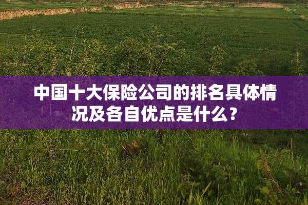 中国十大保险公司的排名具体情况及各自优点是什么？