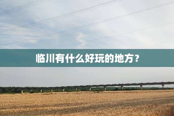 临川有什么好玩的地方？