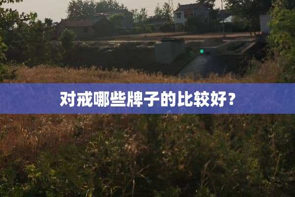 对戒哪些牌子的比较好？
