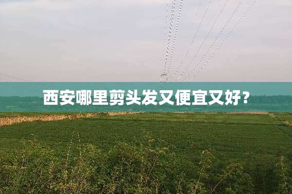 西安哪里剪头发又便宜又好？