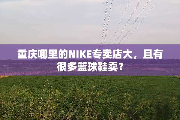 重庆哪里的NIKE专卖店大，且有很多篮球鞋卖？