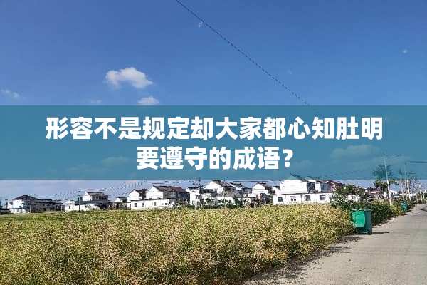 形容不是规定却大家都心知肚明要遵守的成语？