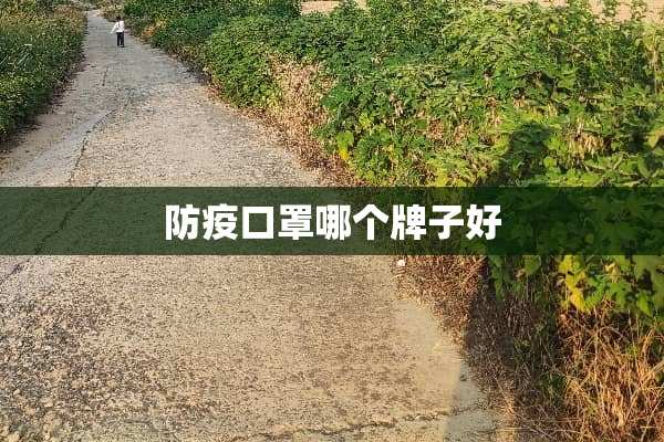 防疫口罩哪个牌子好
