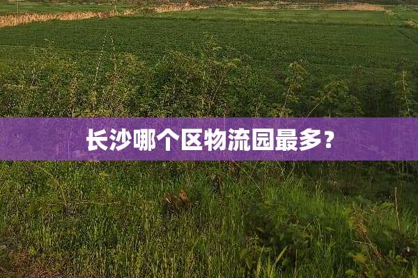 长沙哪个区物流园最多？