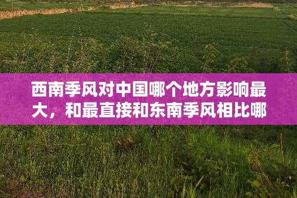 西南季风对中国哪个地方影响最大，和最直接和东南季风相比哪个势力最强