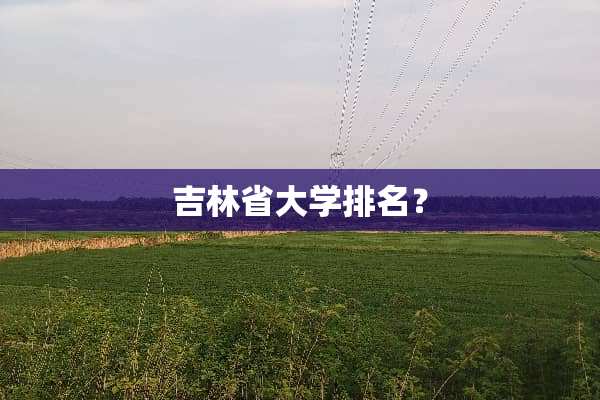 吉林省大学排名？