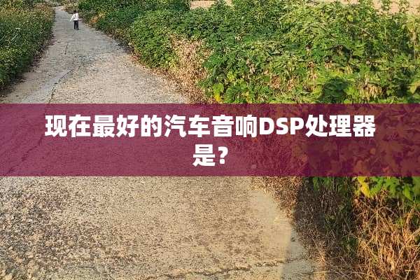 现在最好的汽车音响DSP处理器是？