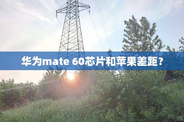 华为mate 60芯片和苹果差距？