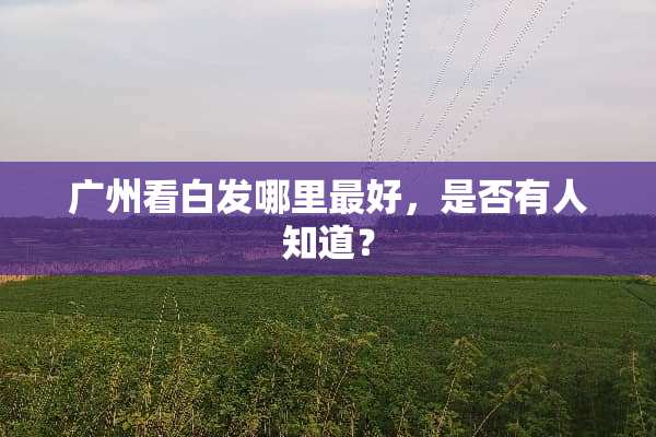 广州看白发哪里最好，是否有人知道？