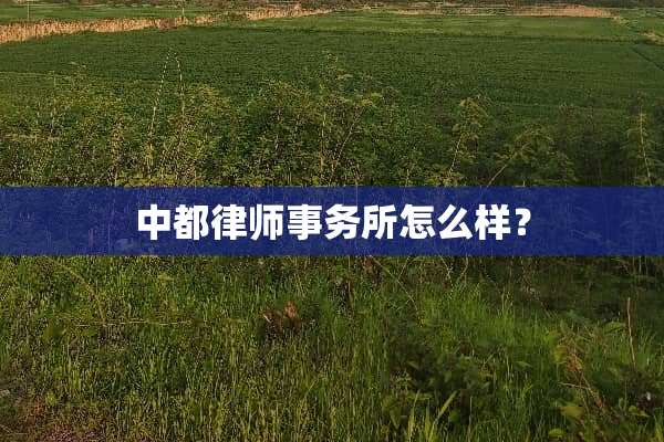 中都律师事务所怎么样？