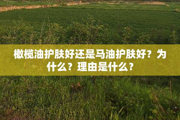 橄榄油护肤好还是马油护肤好？为什么？理由是什么？