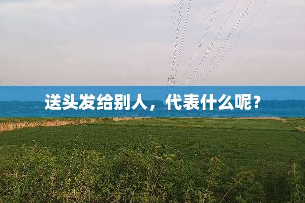送头发给别人，代表什么呢？